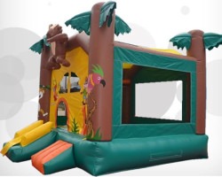 Monkey Jungle