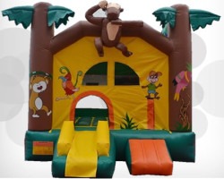 Monkey Jungle_ Monkey Jungle_