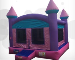 Sparkling20Bouncer3 1739241362 Sparkling Bouncer